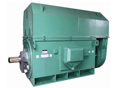 YKS4502-2Y系列6KV高压电机